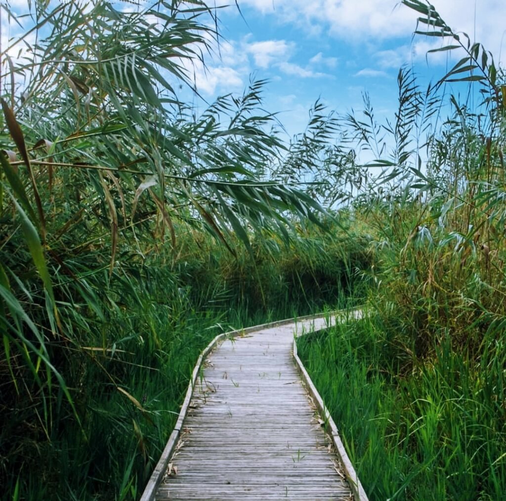 parcs naturels d'Alicante parcs naturels d'Alicante