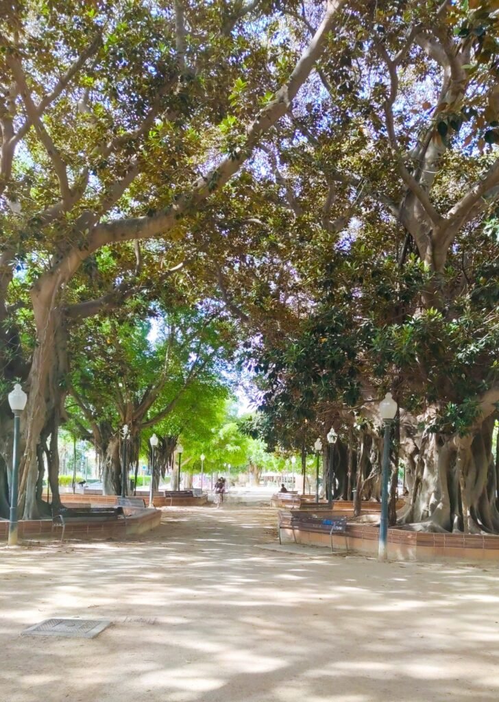 que faire alicante enfants hiver