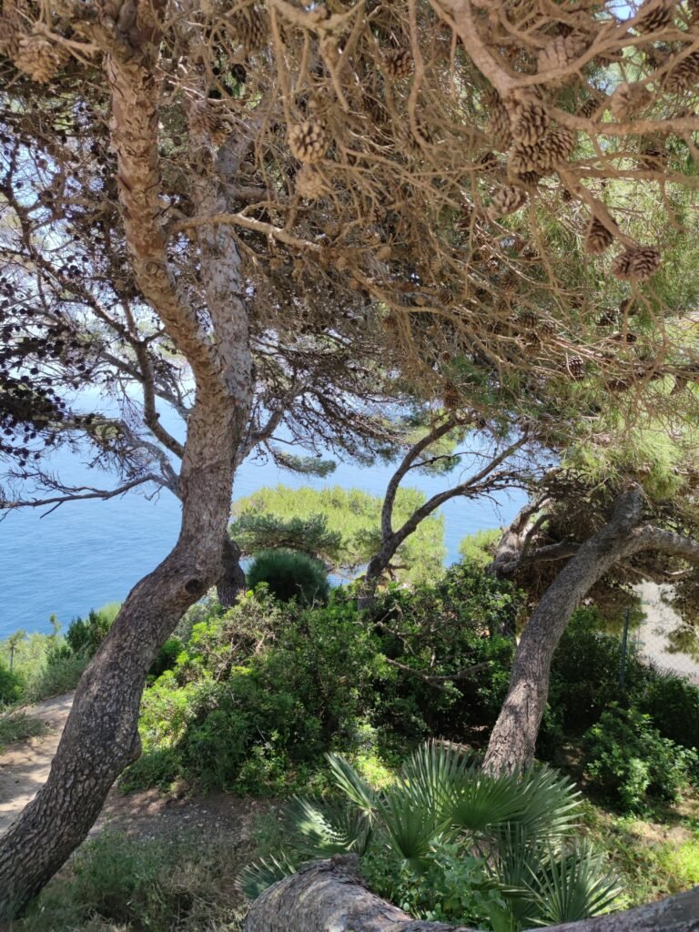 Que faire à Jávea?