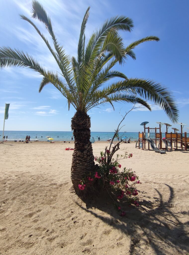plus belles plage d'Alicante