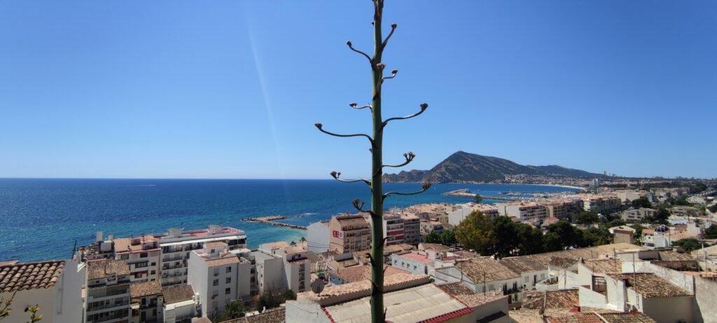 Comment aller de l’aéroport d’Alicante à