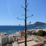 Où dormir sur la Costa Blanca