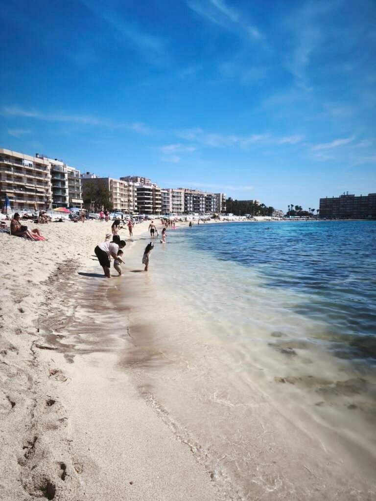 que faire à Torrevieja