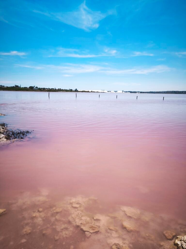 que faire à Torrevieja que faire à Torrevieja