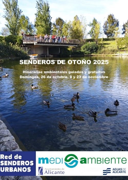 que faire à Alicante en novembre 2025 que faire à Alicante en novembre 2025